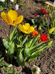Ostern 1