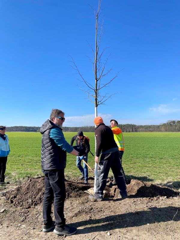 Baum 2024 01