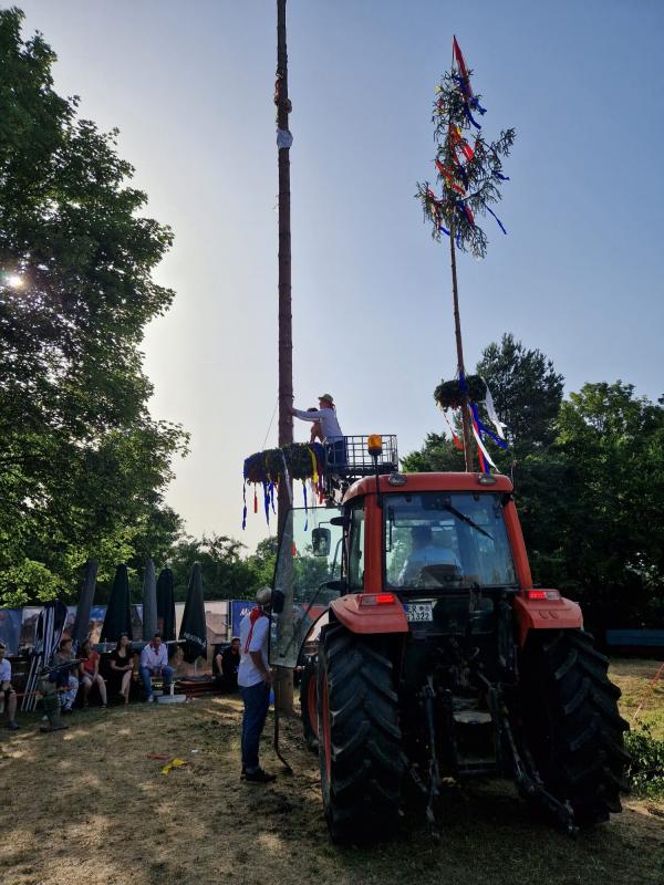 Kerwa 10
